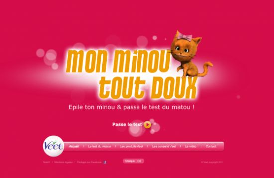 Test de mon minou tout doux de Veet